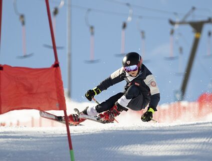 Luca Stocker Paralax