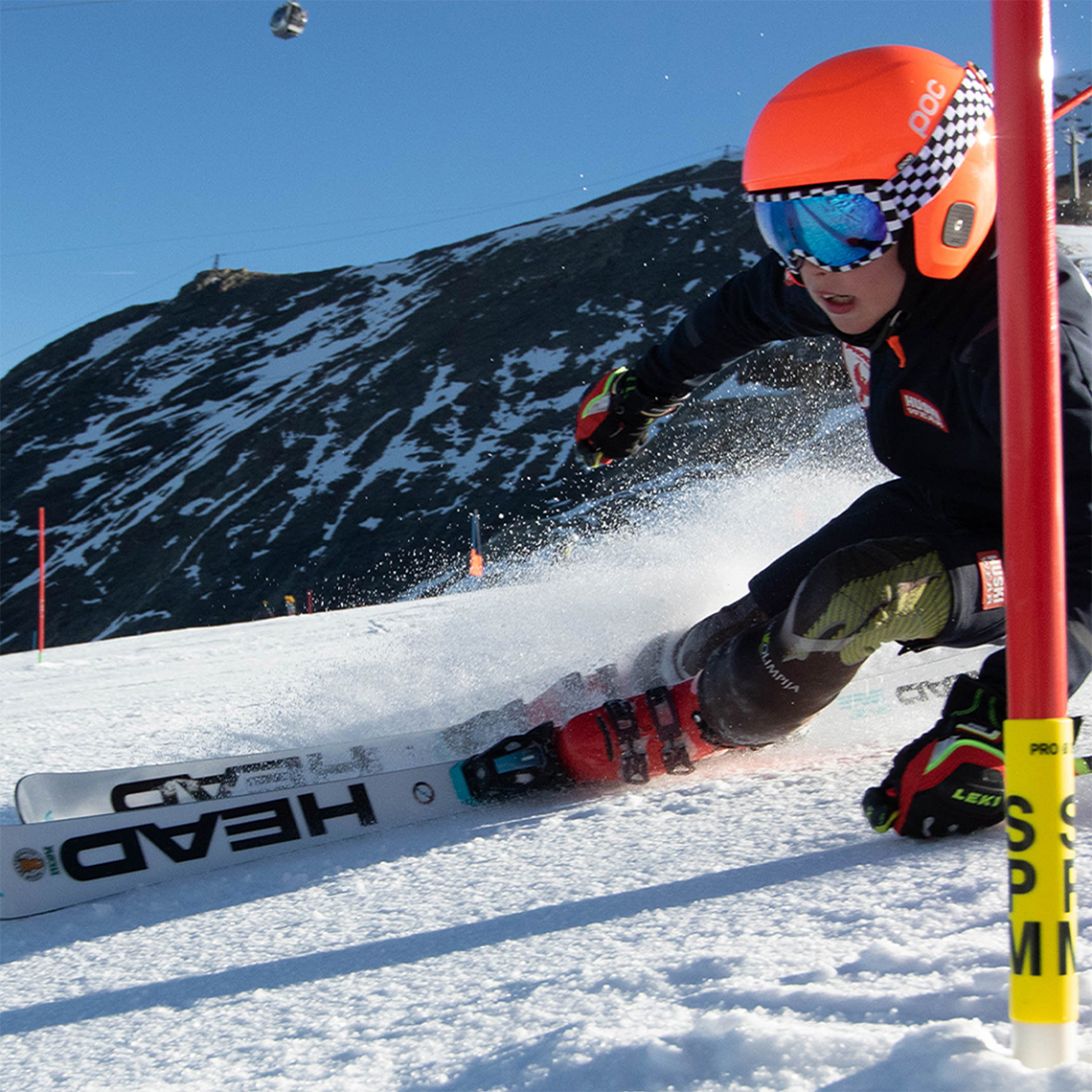 Alexander Shorin Hermann Maier Academy