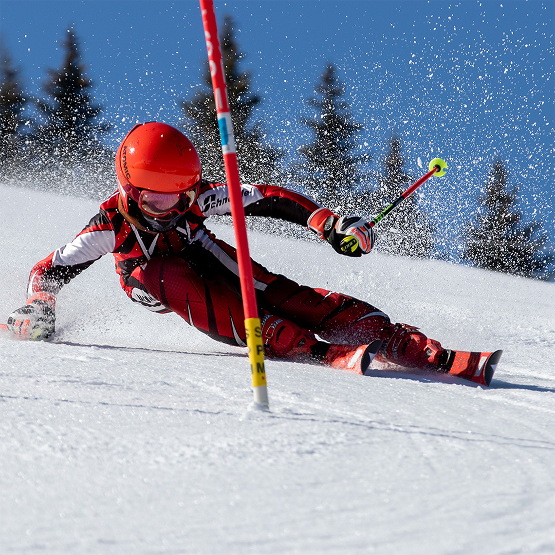 Eduard Braun Hermann maier Academy